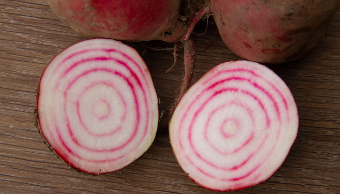 Ringelbete